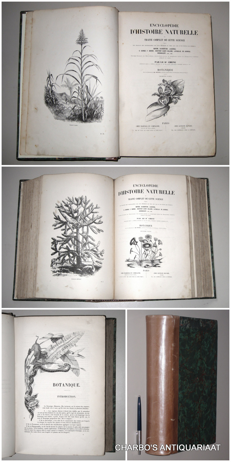 CHENU, DR., -  Encyclopdie d'histoire naturelle: Botanique, 1re et 2me partie. Avec la collaboration de M. Dupuis.