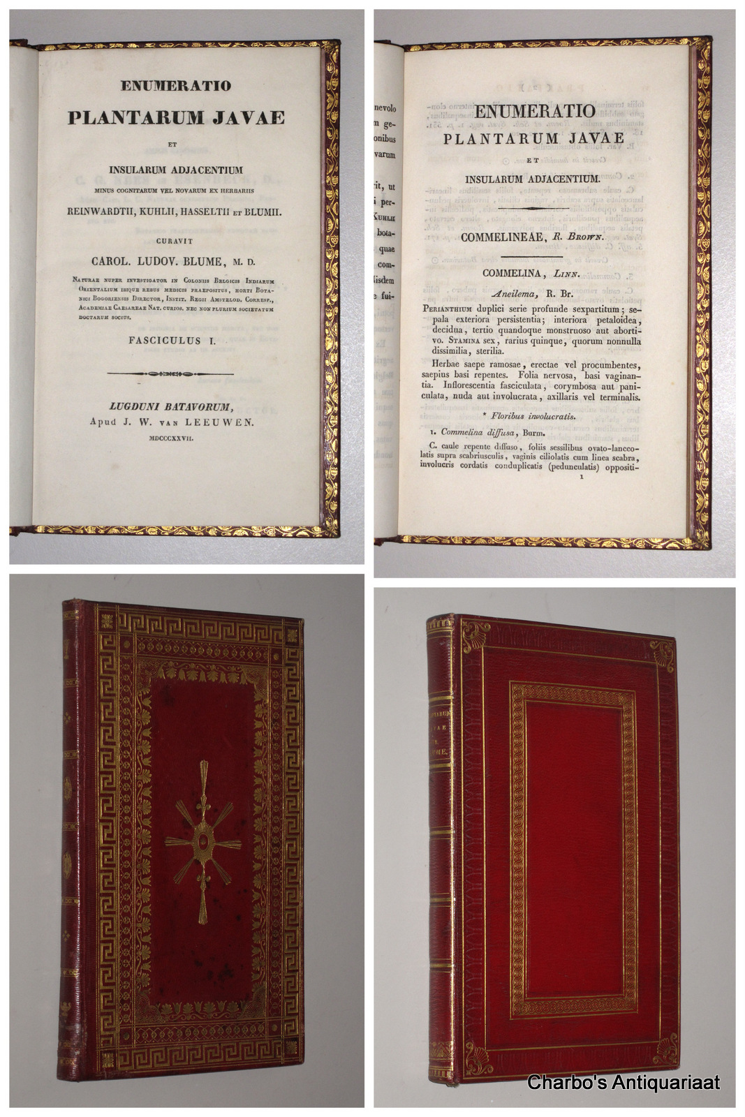 BLUME, CARL LUDWIG, -  Enumeratio plantarum Javae et insularum adjacentium minus cognitarum vel novarum ex herbariis Reinwardtii, Kuhlii, Hasseltii et Blumii. Fasciculus I & II.