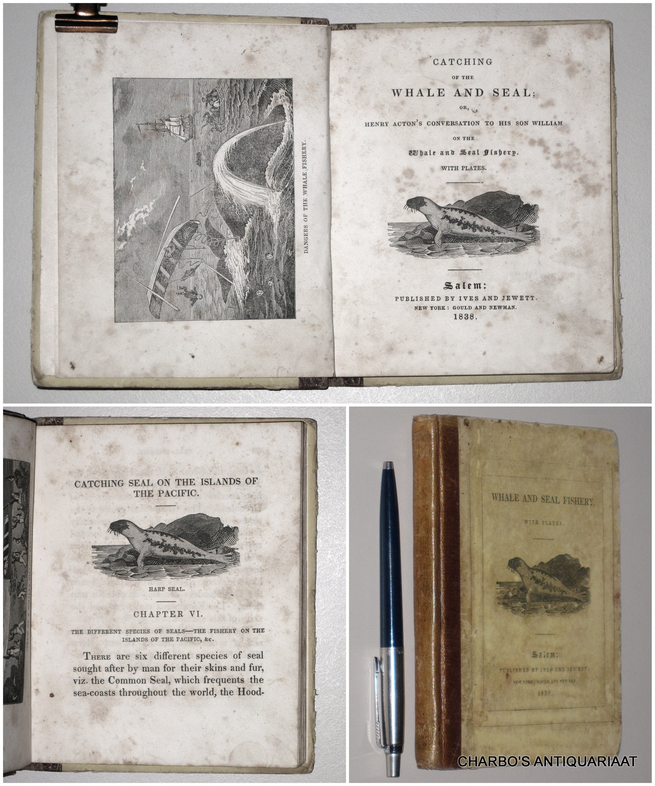 ACTON, HENRY, -  Catching of the whale and seal; or, Henry Acton's conversation with his son William on the whale and seal fishery. (Cover title: Whale and seal fishery).