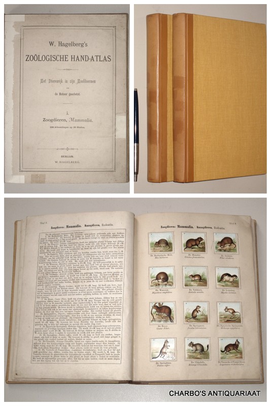 HAGELBERG, W., -  Zologische hand-atlas. Het dierenrijk in zijn hoofdvormen naar de natuur geschetst. A: Zoogdieren, mammalia; B: Vogels, aves; C: Amphibin, reptilia et amphibia; D: Visschen, pisces; E: Gelede dieren, articulata & arthrozoa; F: Weekdieren, mollusca; G: Wormen, vermes; stekelhuidigen, echinodermata; holzakdieren, coelenterata; vormlooze dieren, protozoa.