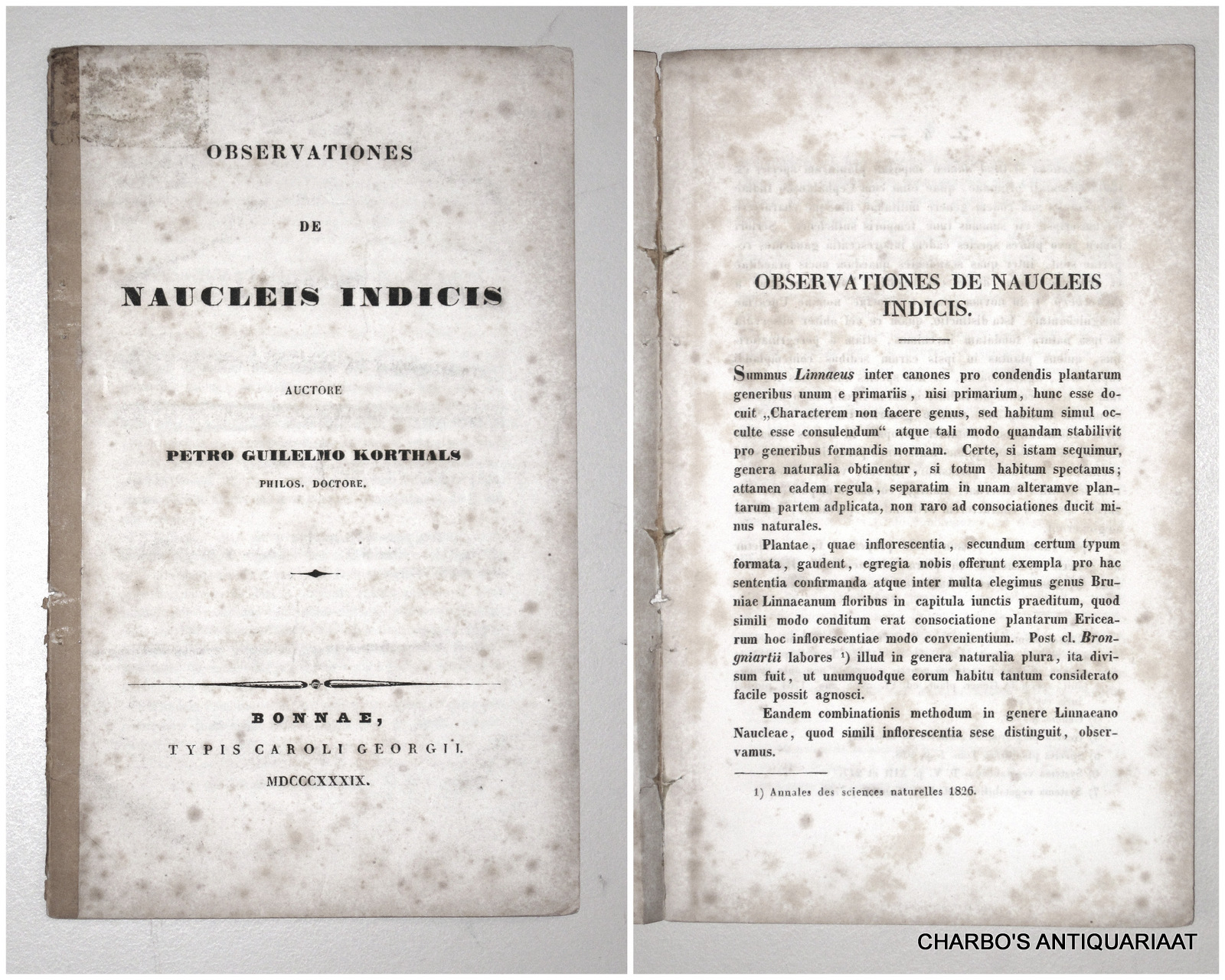 KORTHALS, P.W., -  Observationes de Naucleis indicis.